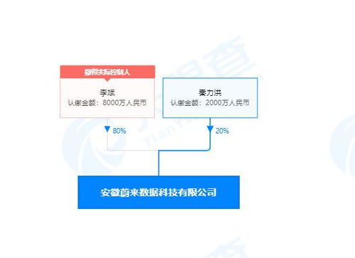 李斌投資成立蔚來數據公司，深化計算機系統集成服務布局